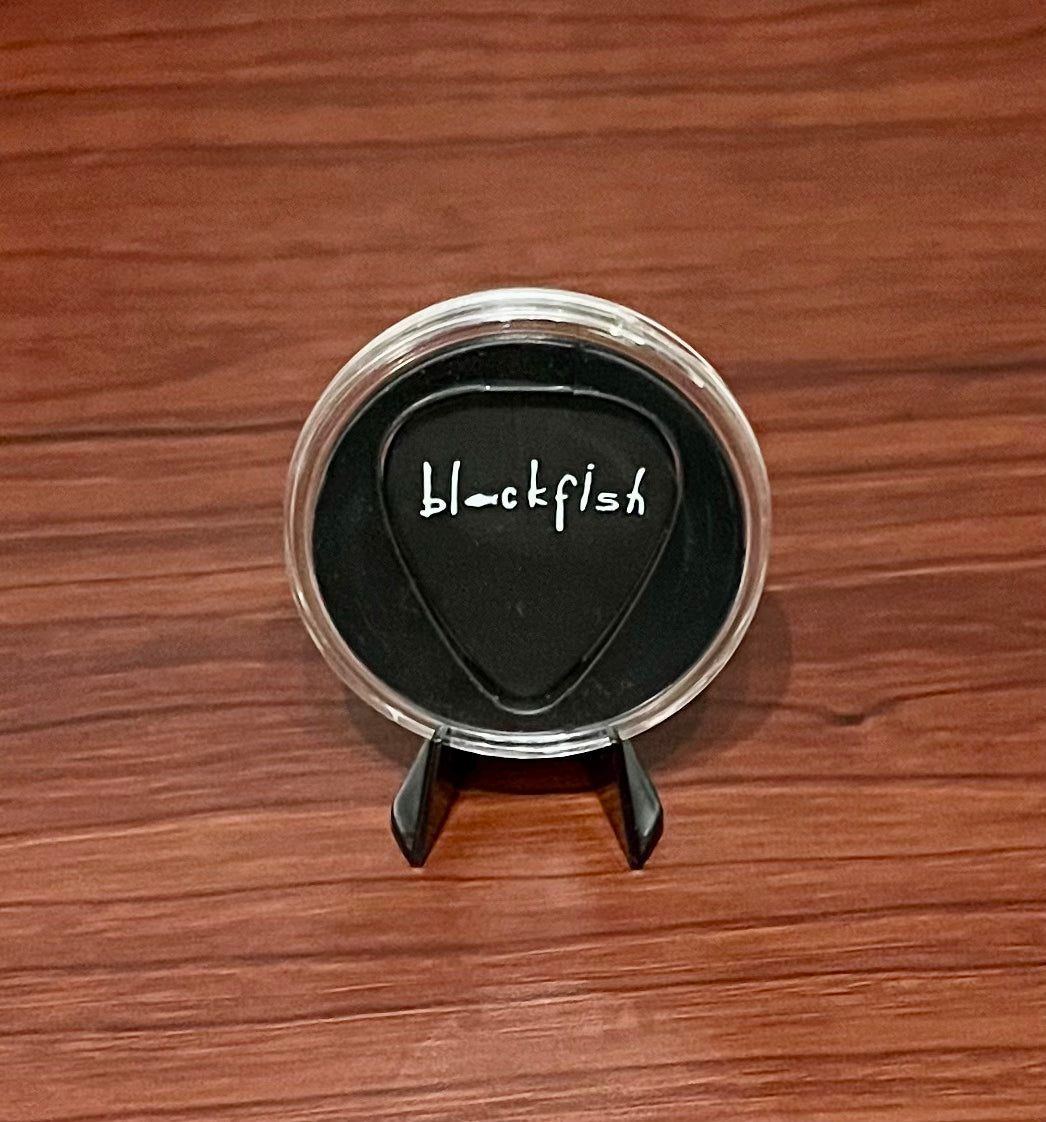 Guitar Pick in mini display (Black)