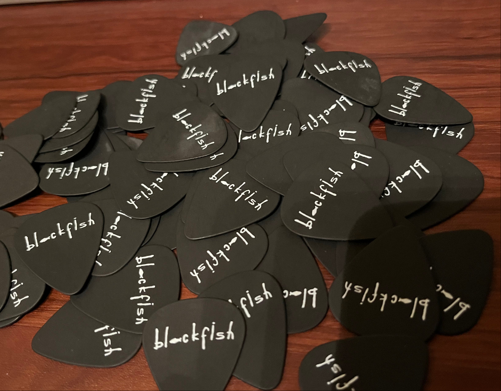 Guitar Pick in mini display (Black)